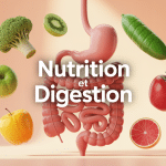 nutritiondigestion.fr synergie nutrition digestion