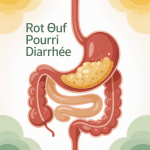 rot œuf pourri puis diarrhée cause graphique du tube digestif