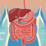 processus temps de cicatrisation estomac après bypass anatomie digestive