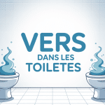 illustration vers dans les toilettes ambiance rassurante