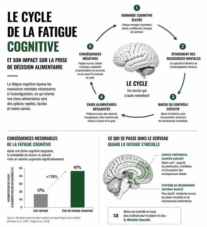 Infographie sur la fatigue cognitive et la perte de poids : comprendre pourquoi la volonté est une ressource limitée.